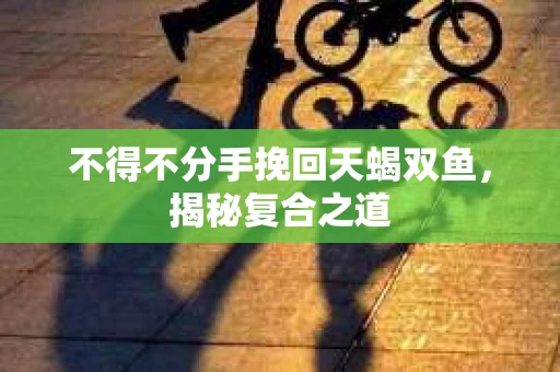 不得不分手挽回天蝎双鱼，揭秘复合之道