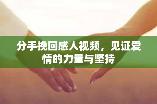 分手挽回感人视频，见证爱情的力量与坚持