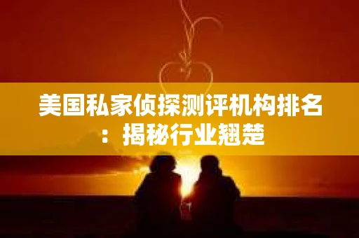 美国私家侦探测评机构排名：揭秘行业翘楚