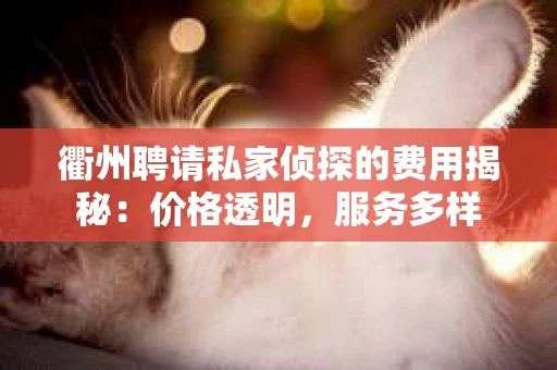 衢州聘请私家侦探的费用揭秘：价格透明，服务多样