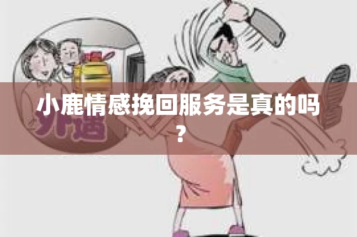 小鹿情感挽回服务是真的吗？