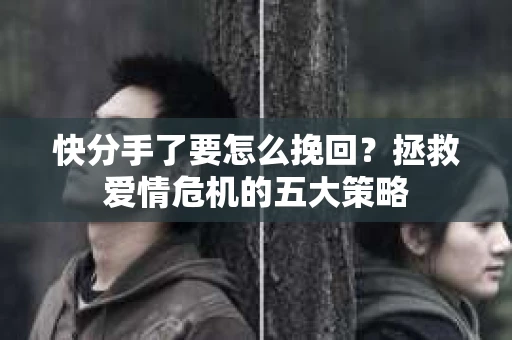 快分手了要怎么挽回？拯救爱情危机的五大策略