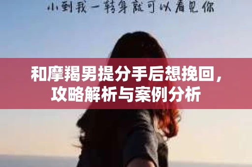 和摩羯男提分手后想挽回，攻略解析与案例分析