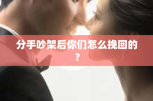 分手吵架后你们怎么挽回的？