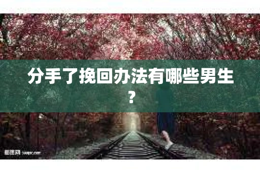 分手了挽回办法有哪些男生？