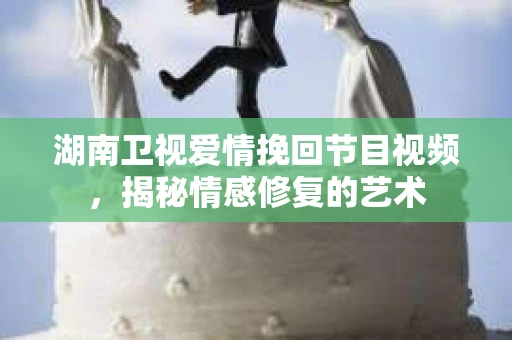 湖南卫视爱情挽回节目视频，揭秘情感修复的艺术