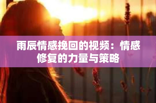 雨辰情感挽回的视频：情感修复的力量与策略