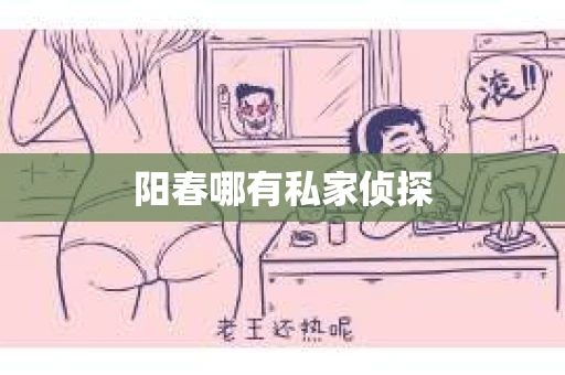 阳春哪有私家侦探