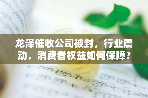 龙泽催收公司被封，行业震动，消费者权益如何保障？