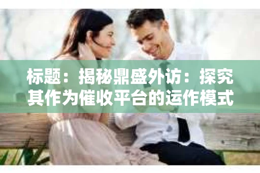 标题：揭秘鼎盛外访：探究其作为催收平台的运作模式