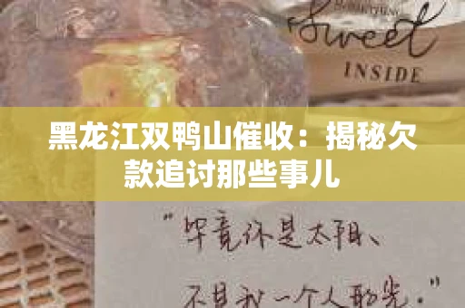 黑龙江双鸭山催收：揭秘欠款追讨那些事儿