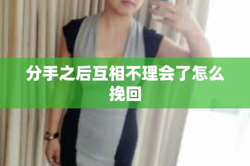 分手之后互相不理会了怎么挽回